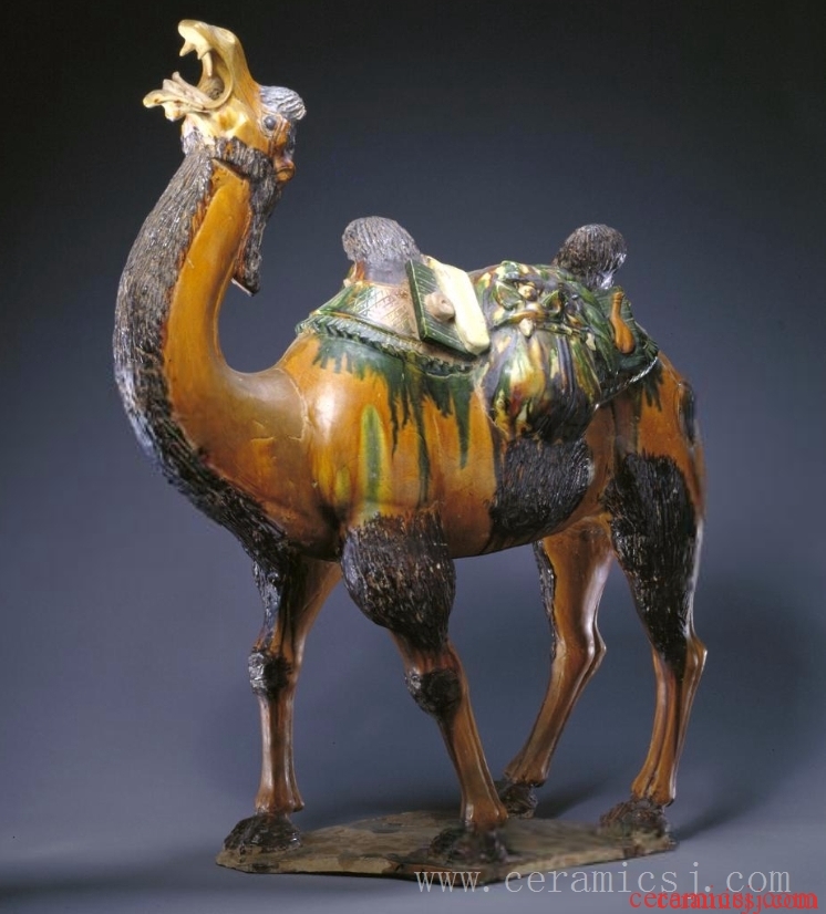 The camel has two humps, round eyes, and an open mouth as if bellowing. It stands on a rectangular base. The head, neck, humps, and saddle pad (a blanket under the saddle) are glazed. Parts of the head, neck, and humps are painted brown. The saddle pad is glazed in green and brown and ornamented with rhombic patterns, medallions, and tassels along the rim. The body and legs of the camel are unglazed.    The two species of camel are the dromedary (one-humped) and the Bactrian (two-humped). The latter inhabits Central Asia and China. Earlier Chinese images of these creatures appeared in the Eastern Han period (25-220) on brick carvings in Sichuan Province. With frequent cultural exchanges in the Sui (581-618) and Tang (618-907) dynasties, the camel became a prevalent theme especially in tricolored glazed pottery in the Tang dynasty.   
