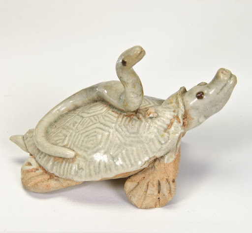 Turtle with snake