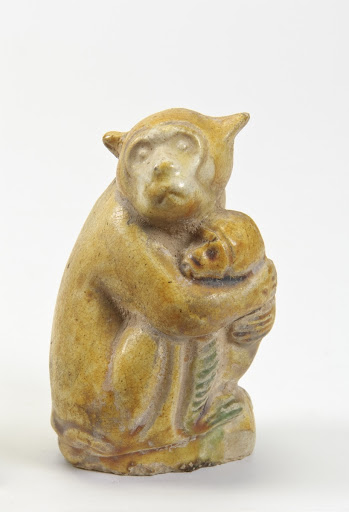 Monkey holding baby monkey