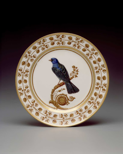 Plate from the South American Birds Service - Sèvres Porcelain Manufactory