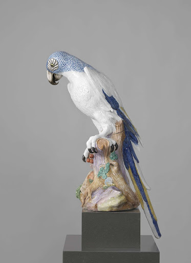 Blue Macaw - Meissener Porzellan Manufaktur