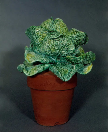 Potted Cabbage - Victor Cicansky