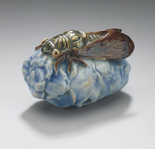 Cicada on Pine Cone - Unknown