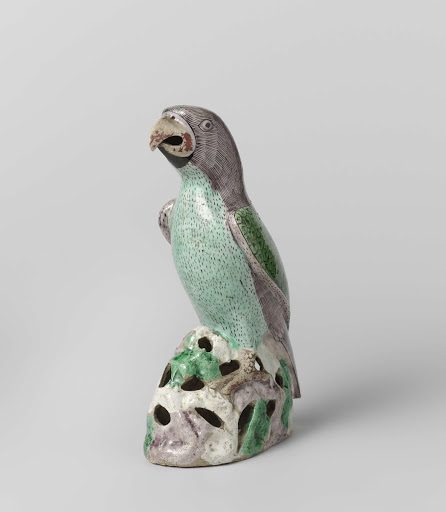 Parrot on a rock - Anonymous