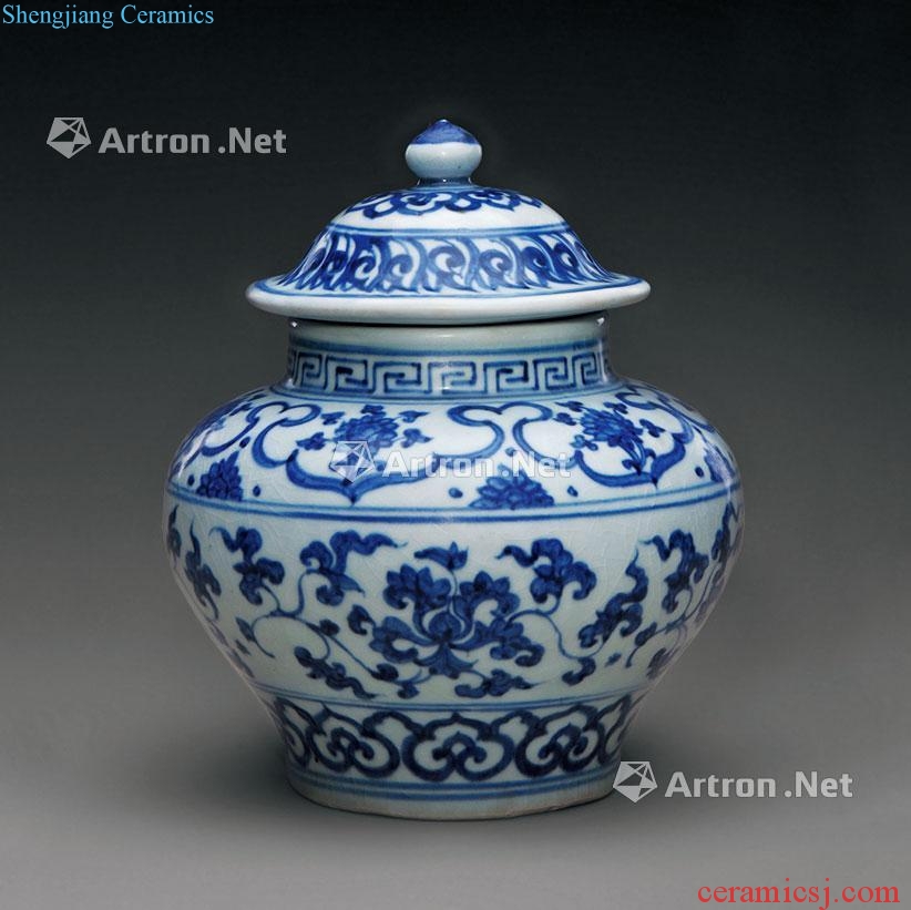 Ming blue and white cover pot