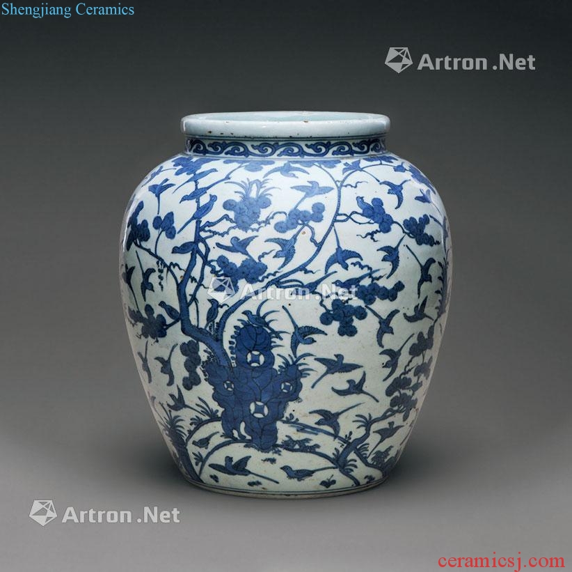 Ming jiajing Blue and white flower on the big pot