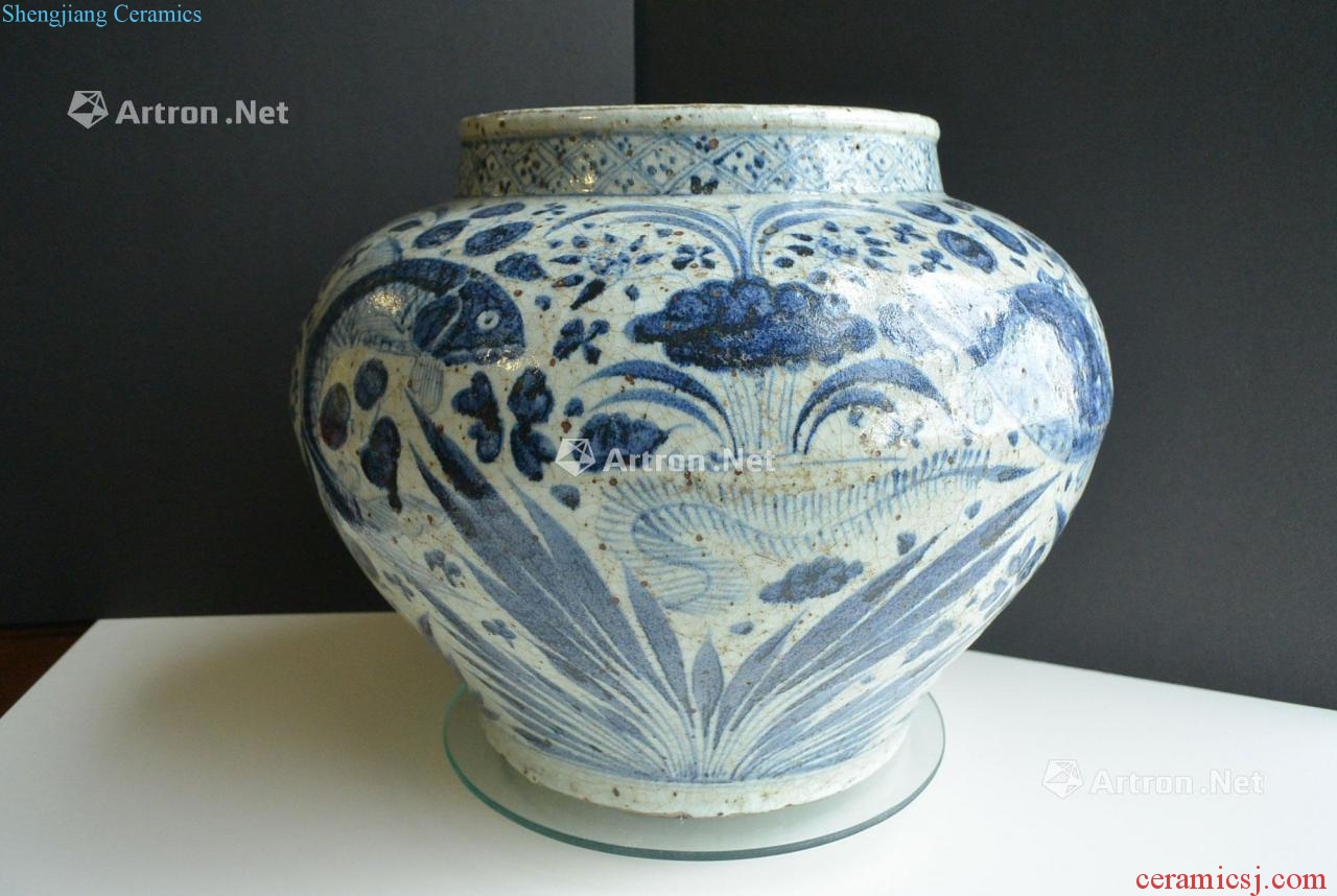 The yuan dynasty blue and white fish bath grain big pot