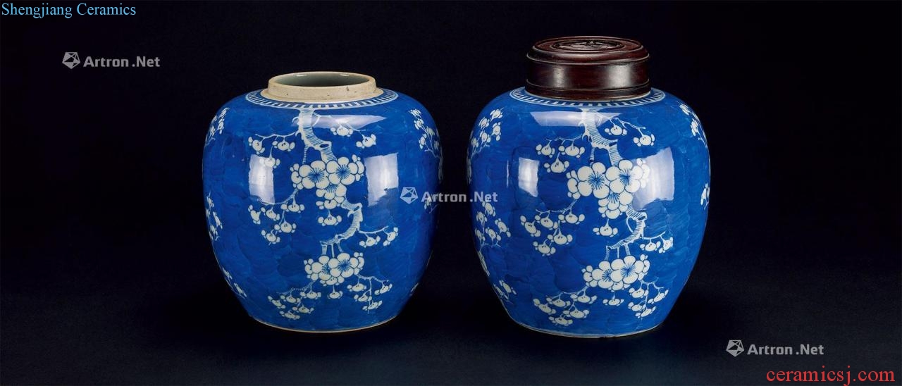 Qing "plum blossom" canister (a)