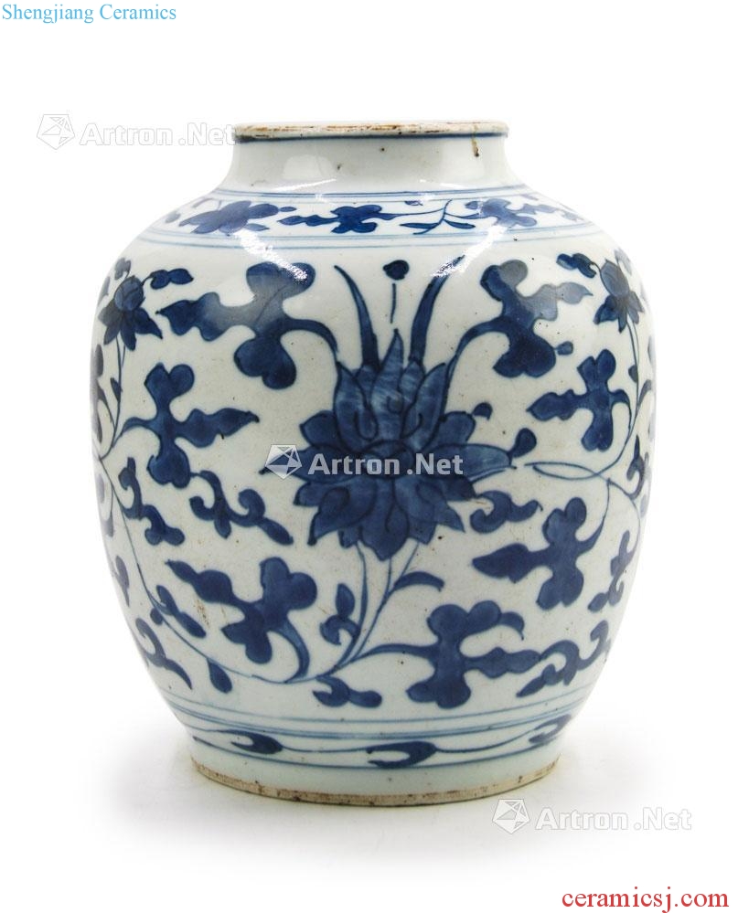 BLUE AND WHITE JAR; MING DYNASTY