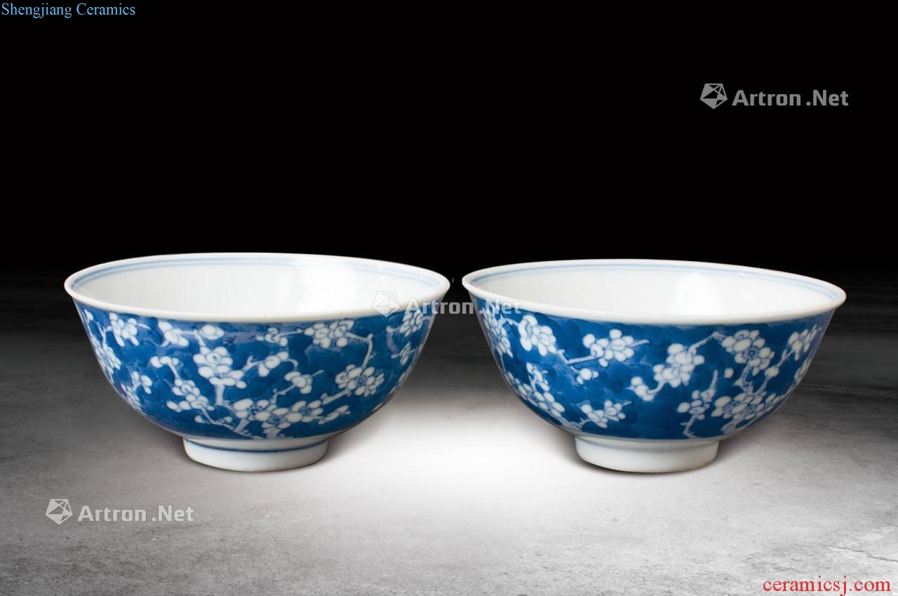 qing Blue and white plum blossom green-splashed bowls (a)