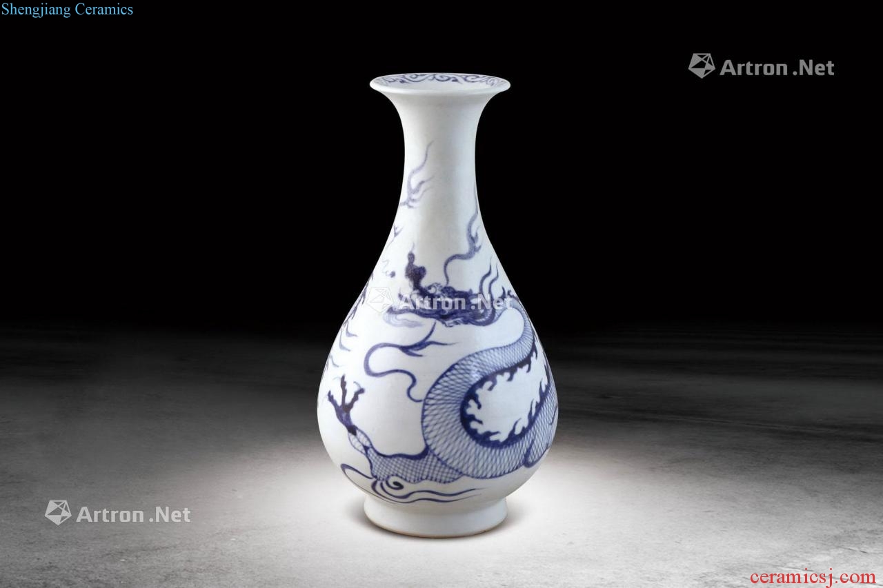 Ming Blue and white dragon okho spring bottle