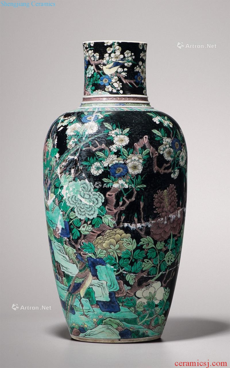 The qing emperor kangxi to colorful ink painting of flowers and grain big goddess of mercy bottle