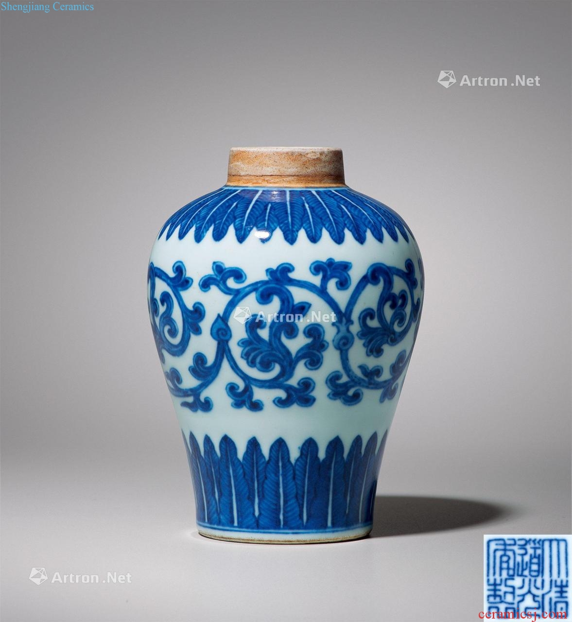 Qing daoguang Blue and white tie up flower grain tank
