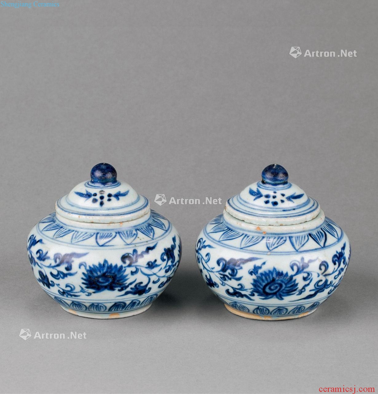 In the Ming dynasty Blue and white flowers lines cover tank (a)