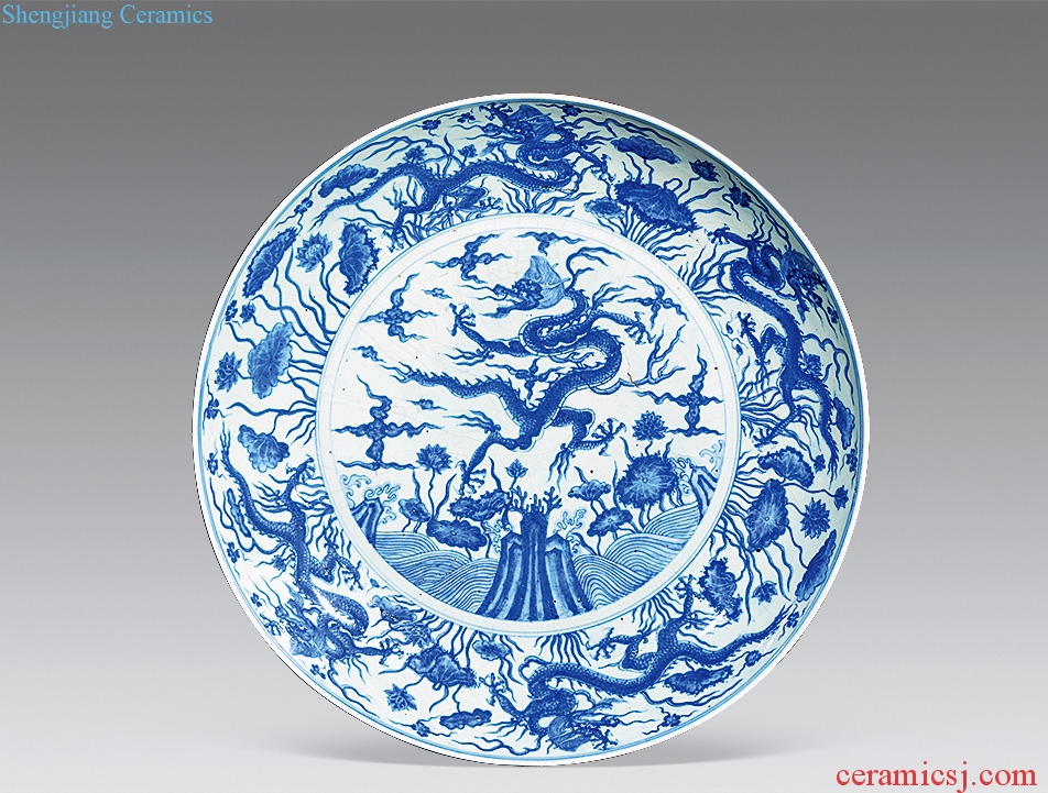 qing Blue and white dragon