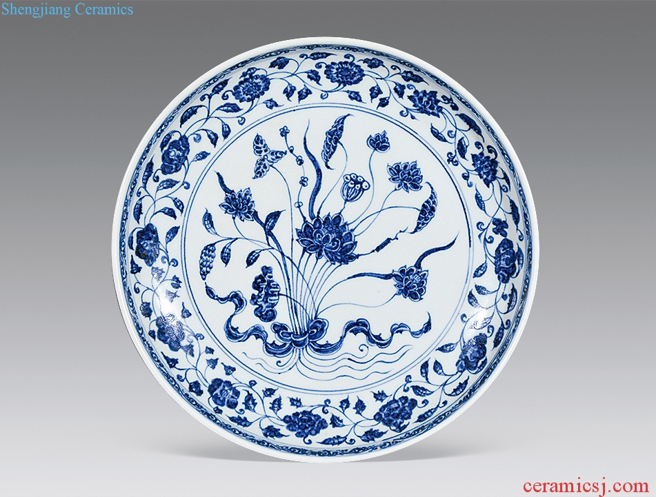Qing dynasty blue and white with a bunch of the market