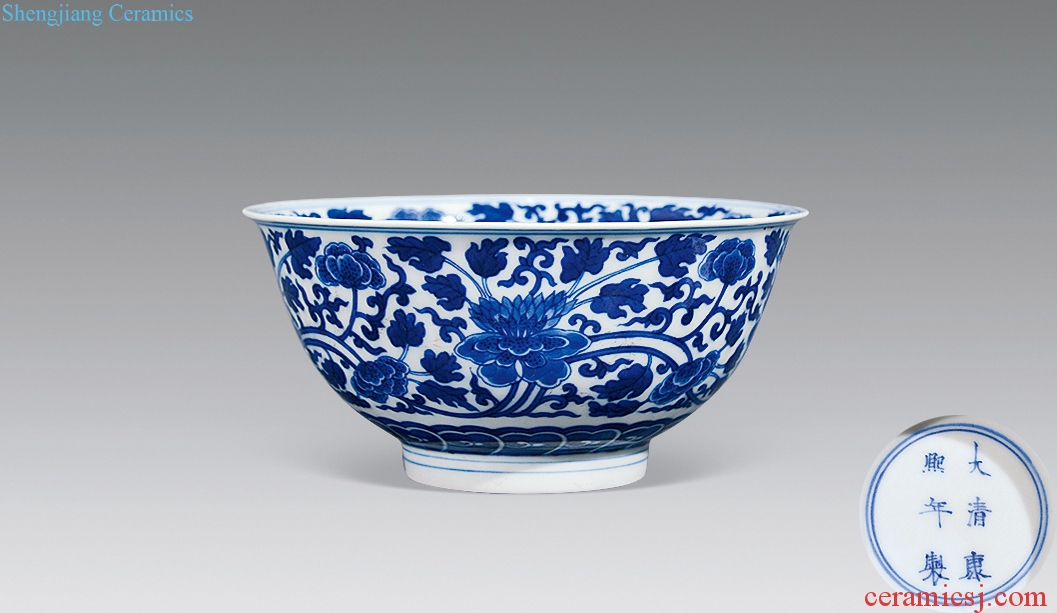 qing Blue and white peony bowl