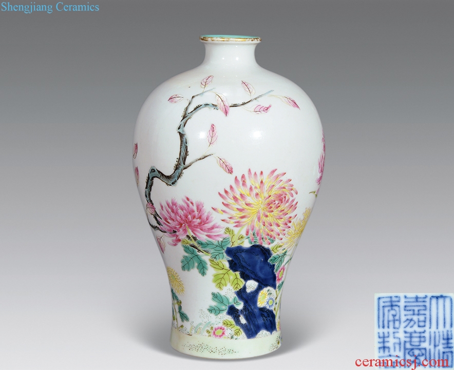 Qing jiaqing pastel flowers may bottle