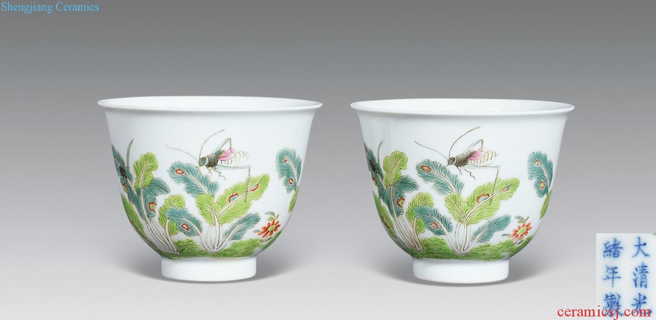 Qing guangxu Blue and white enamel cabbage des sauterelles cup (a)
