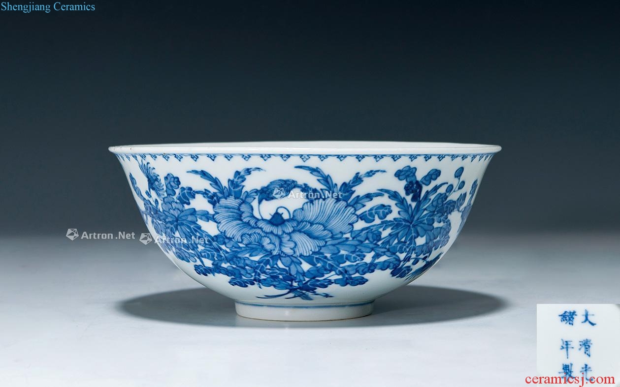 Guangxu jiangxi porcelain industry co., LTD Blue and white flower butterfly green-splashed bowls