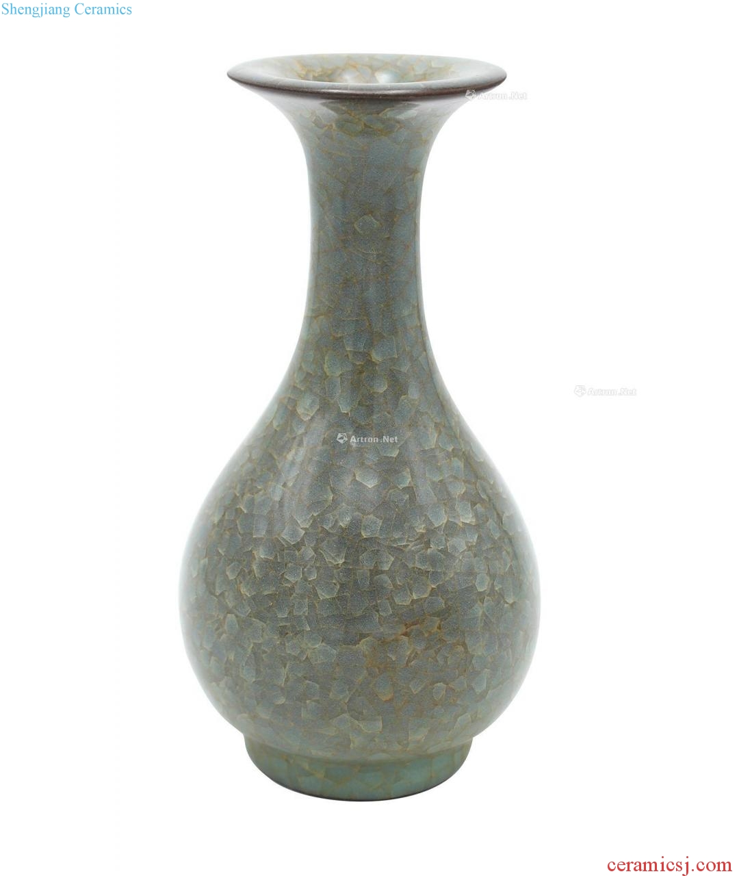 The southern song dynasty Kiln okho spring bottle (a)