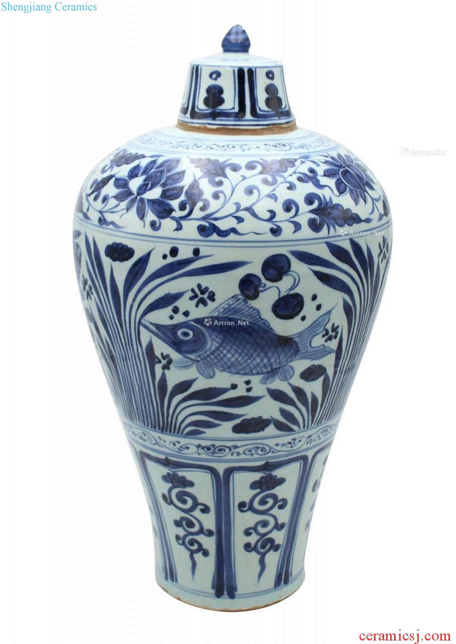 The yuan dynasty Blue and white fish algae half bottle lid may (a)