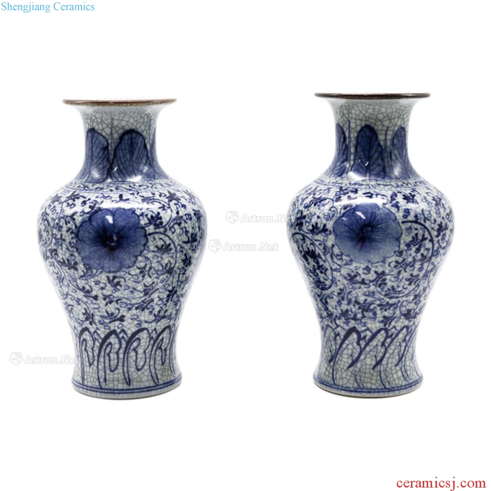 In the qing dynasty Elder brother glaze porcelain ShuangGou lotus left buccal bottle (two/group)