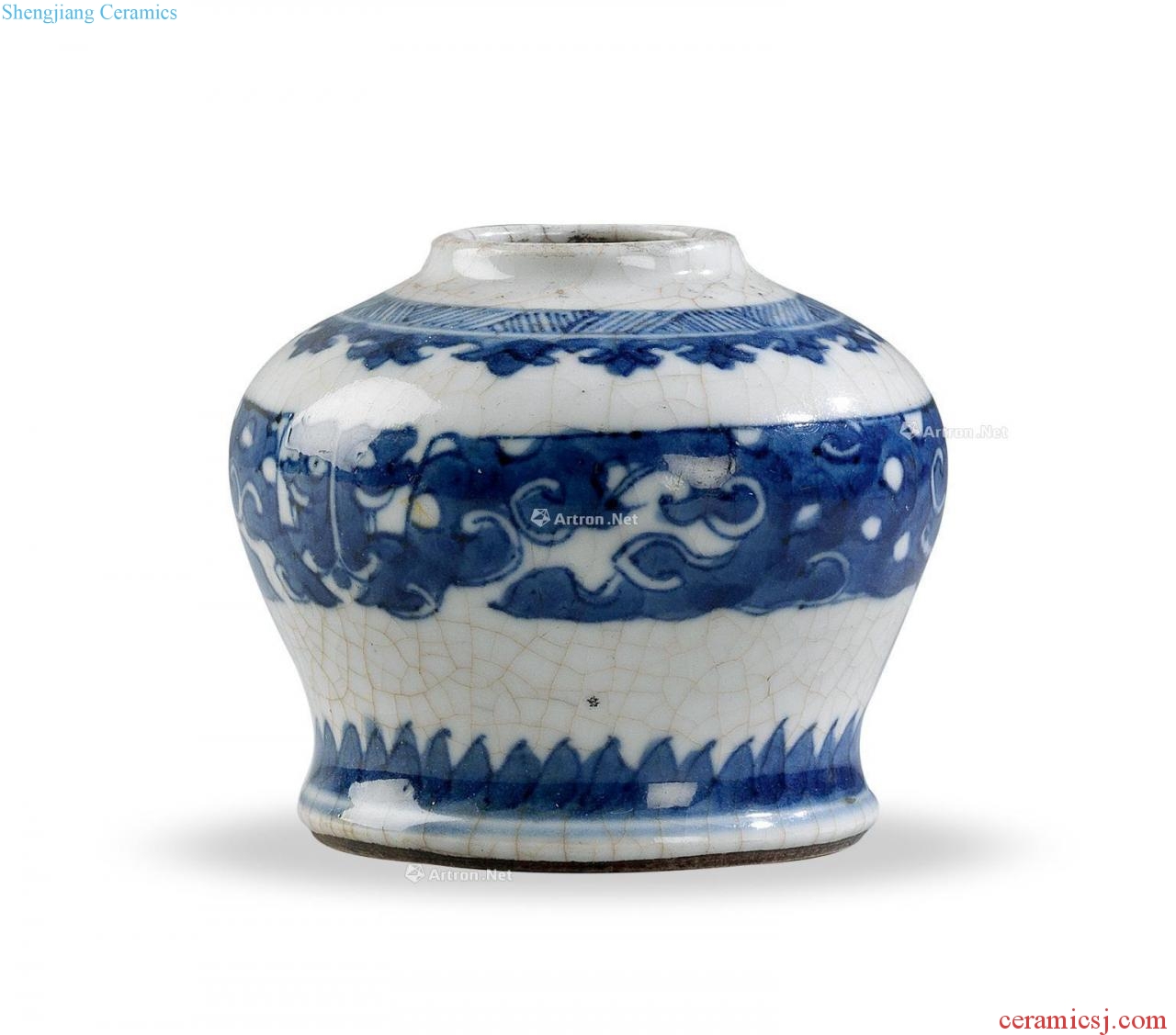Qing dynasty blue and white dragon grain small bottle