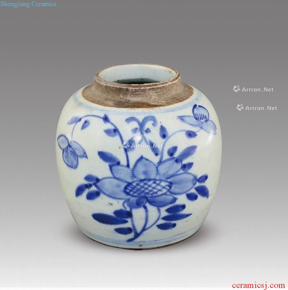 In the qing dynasty blue and white pot