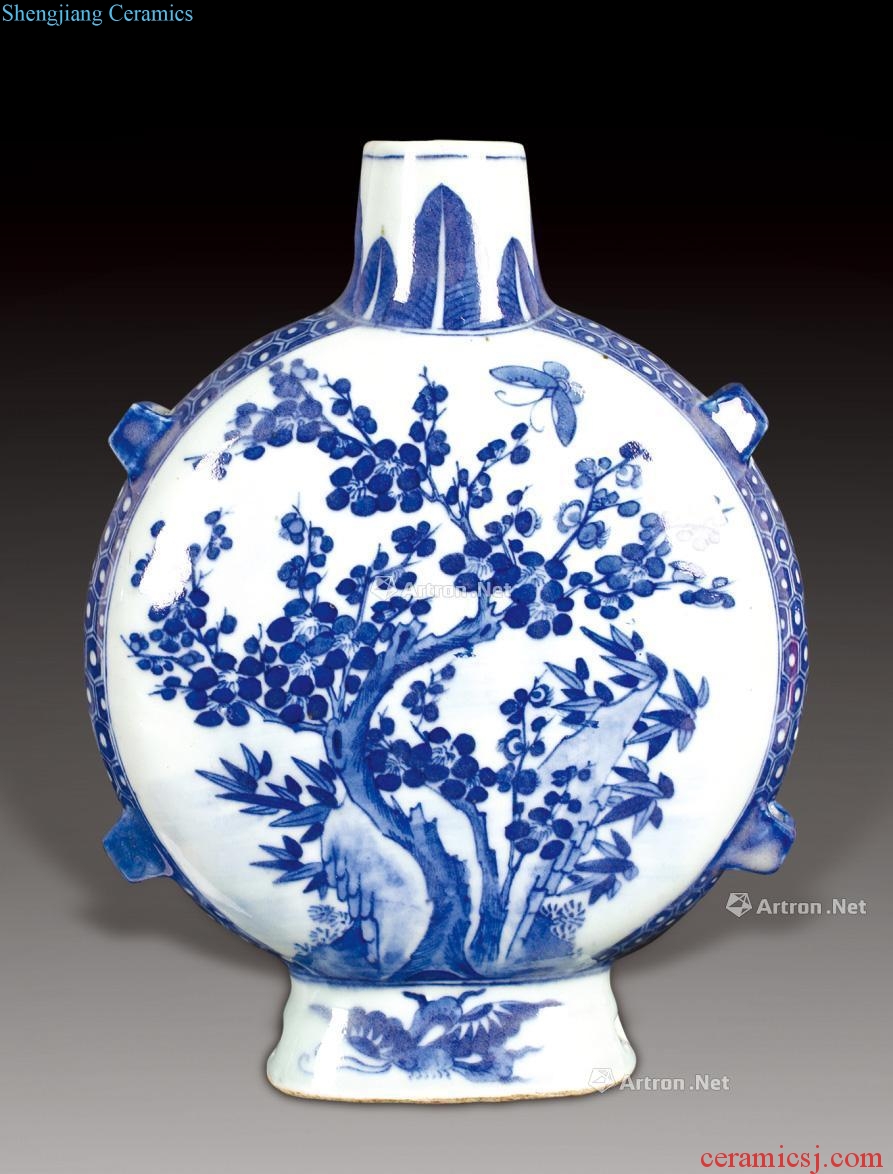 qing Blue and white flowers in a bottle