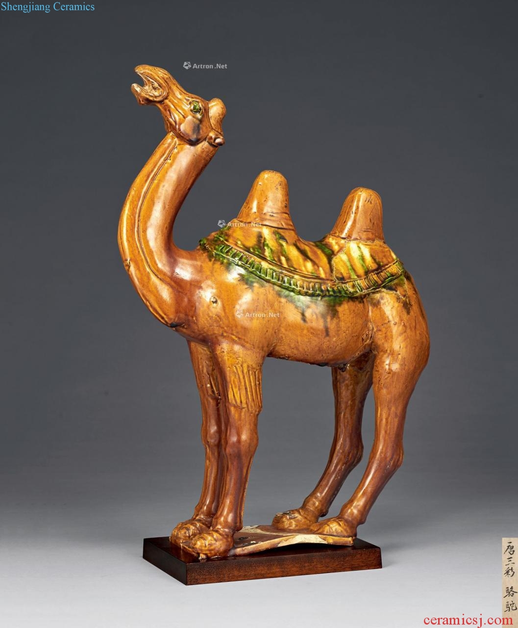 Tang three-color camel