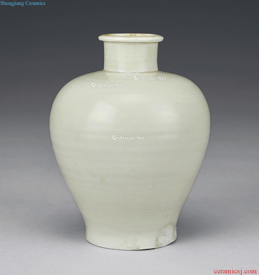 Song dynasty kiln craft bottles