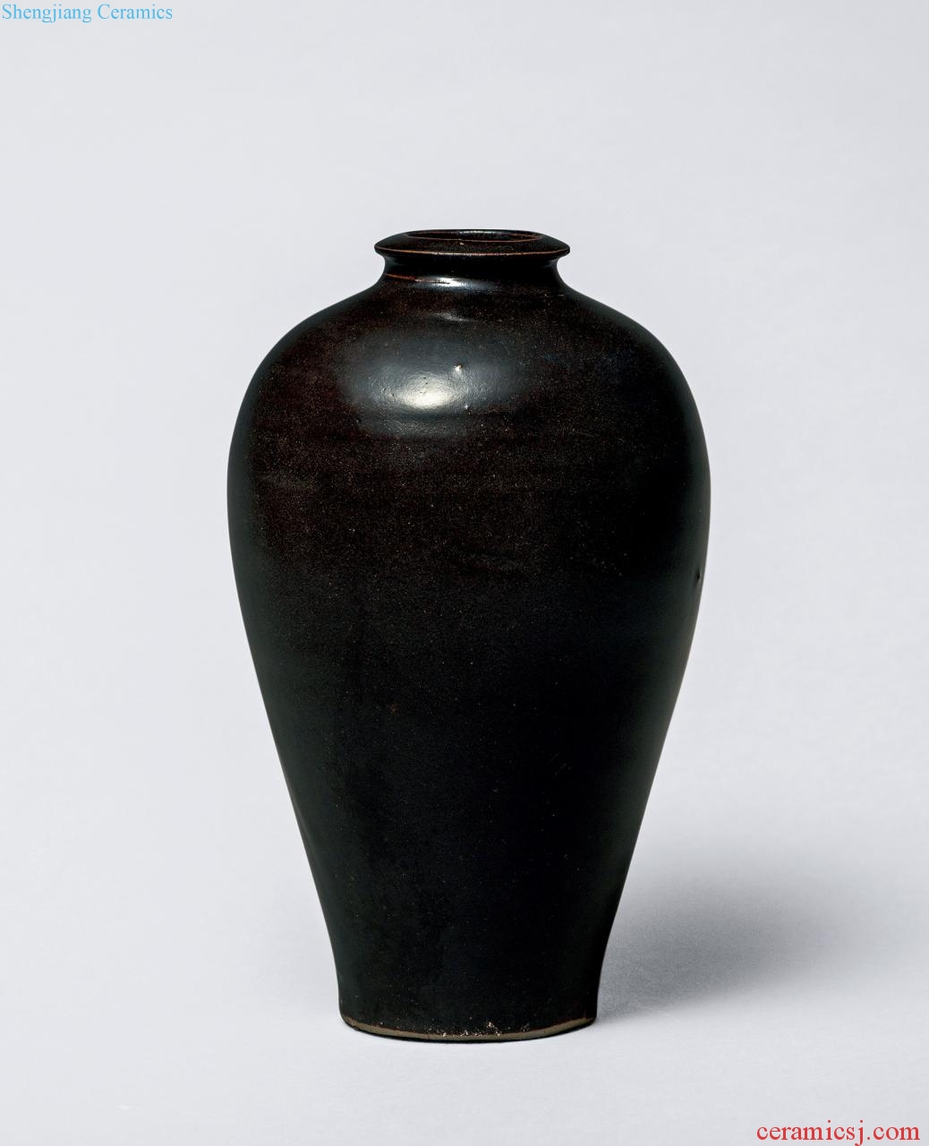 Gold (1115-1234), the black glaze plum bottle