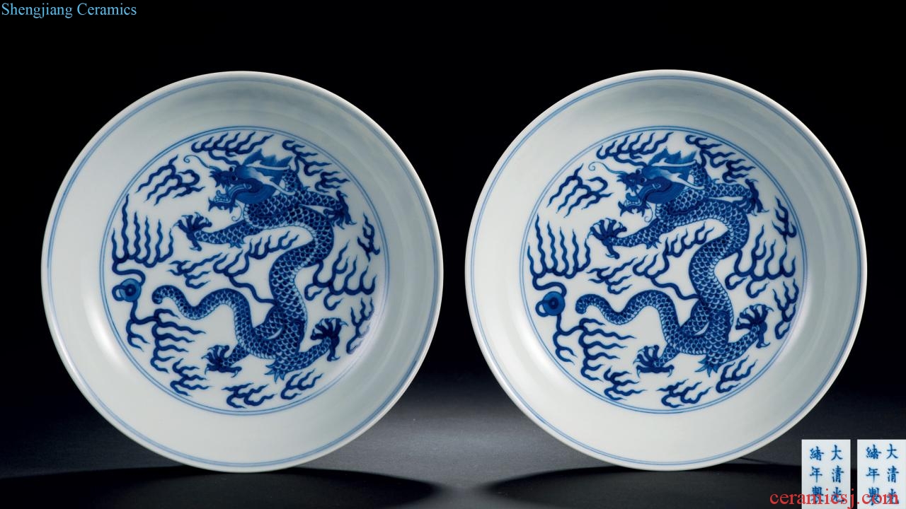 Qing guangxu Blue and white dragon plate (a)