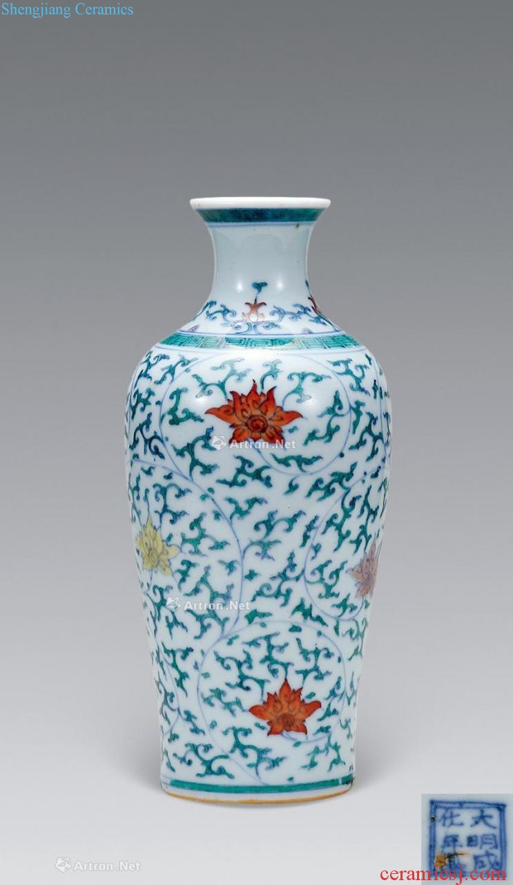 Kang xi dou colors branch lines goddess of mercy bottle