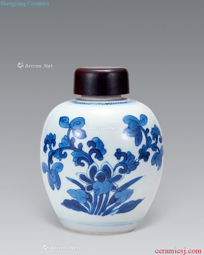 Blue and white flower grain kangxi canister