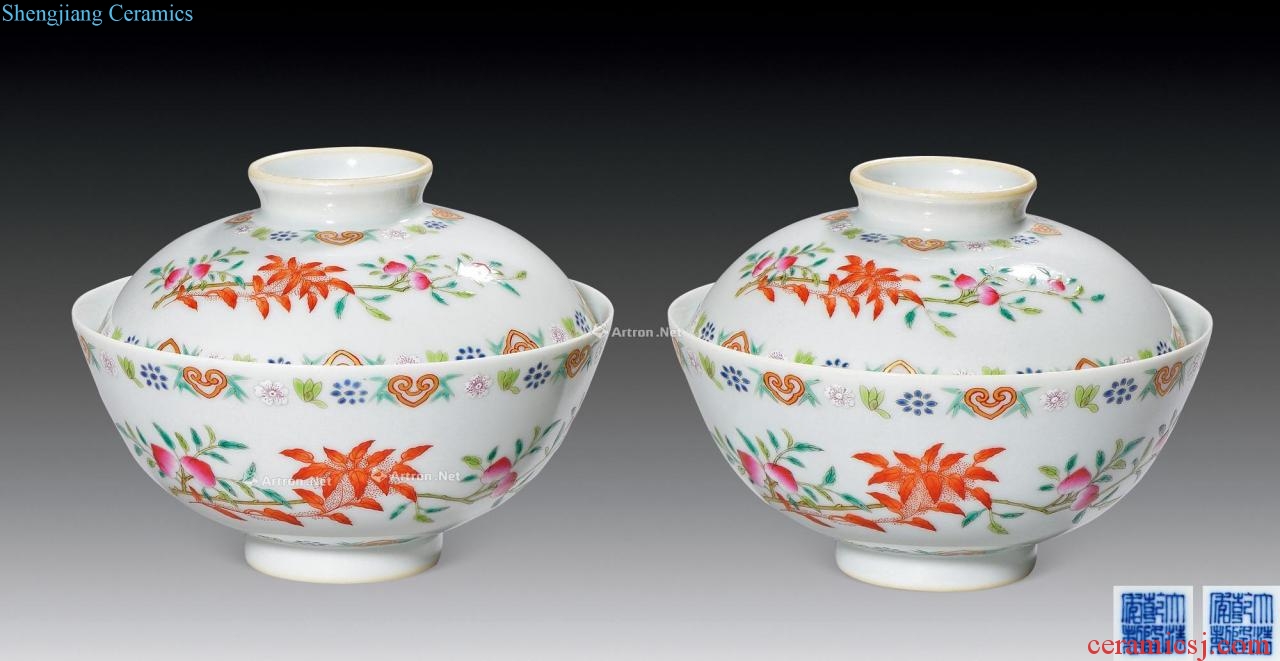 Qing dynasty, qianlong pastel live long and proper tureen (a)