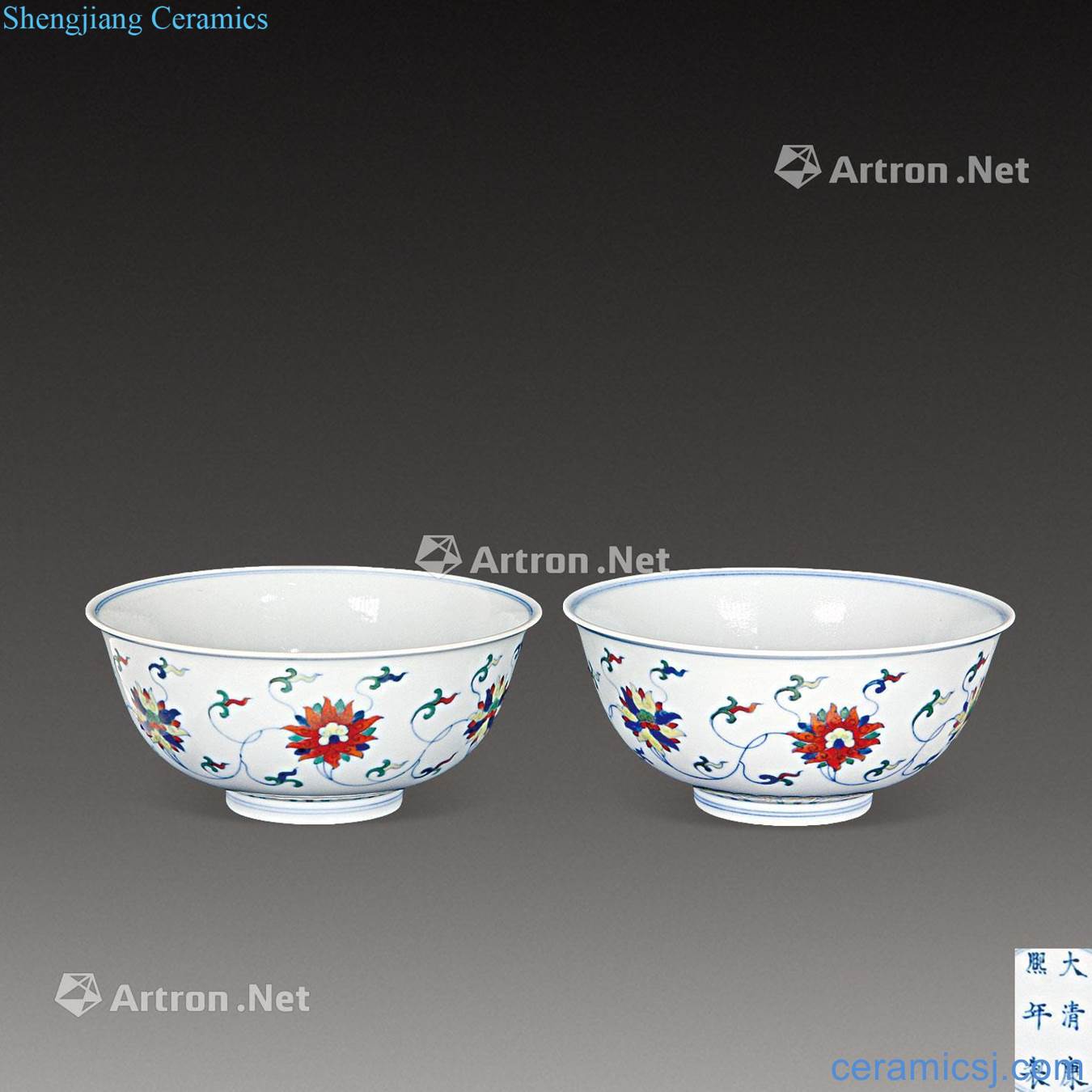 The qing emperor kangxi bucket color flowers wrapped branch lotus bowl (a)