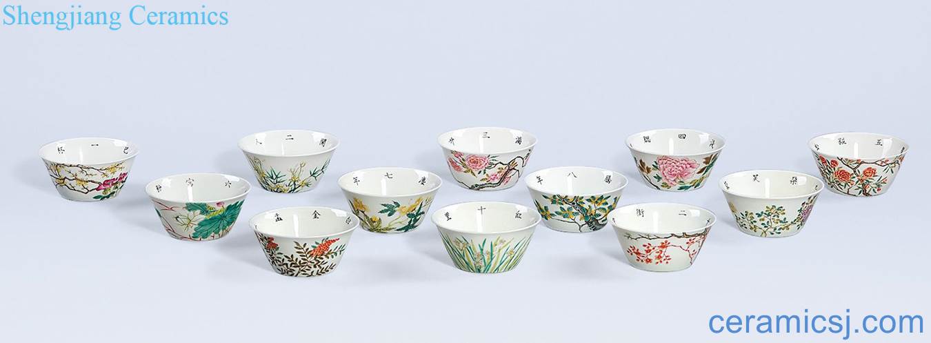 In late qing pastel twelve flora cup (a set of 12 pieces)