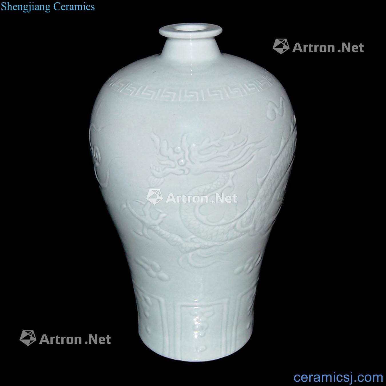 The yuan dynasty White glazed shallow carved dragon moire plum bottle