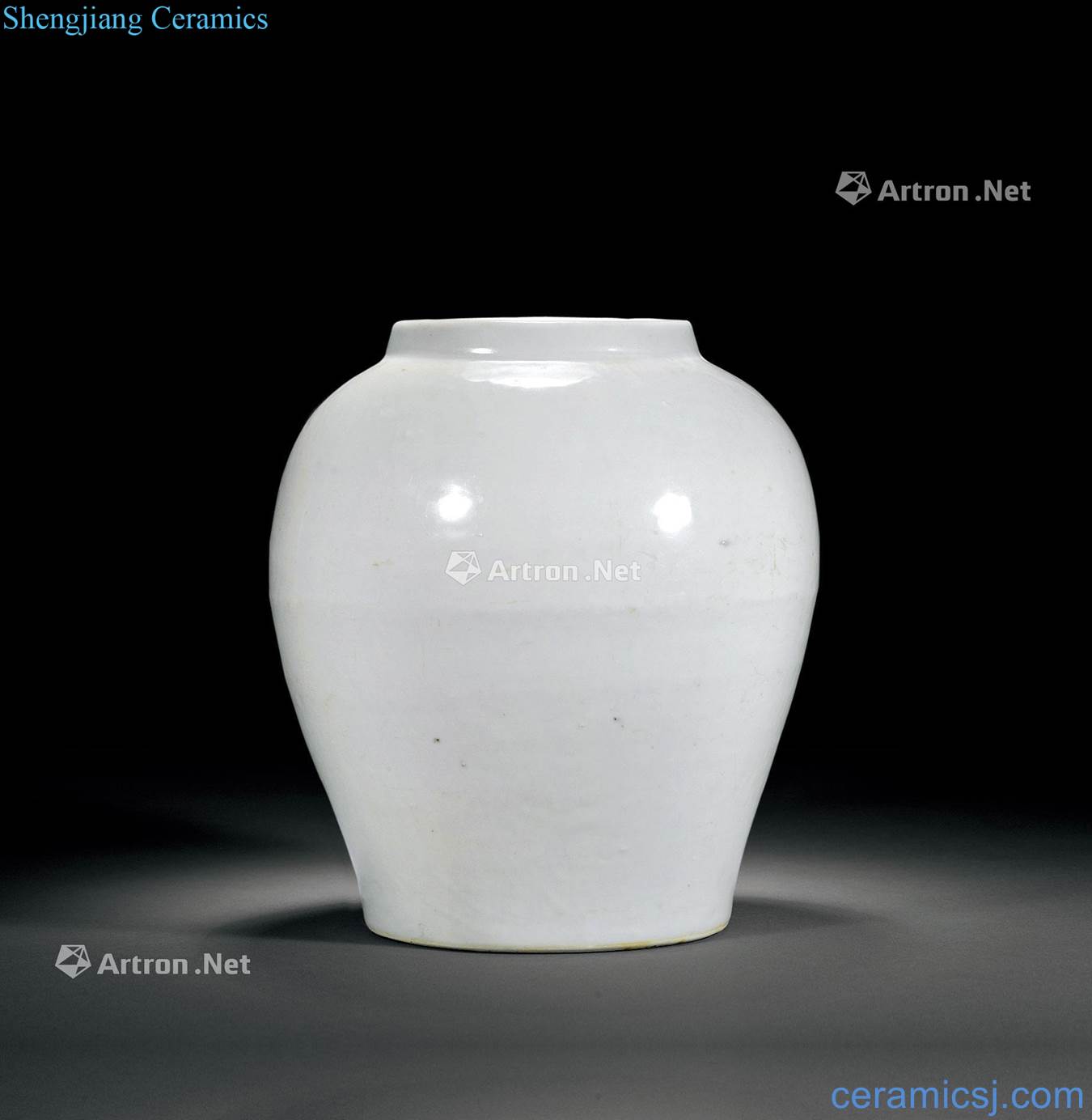 Ming white glazed pot