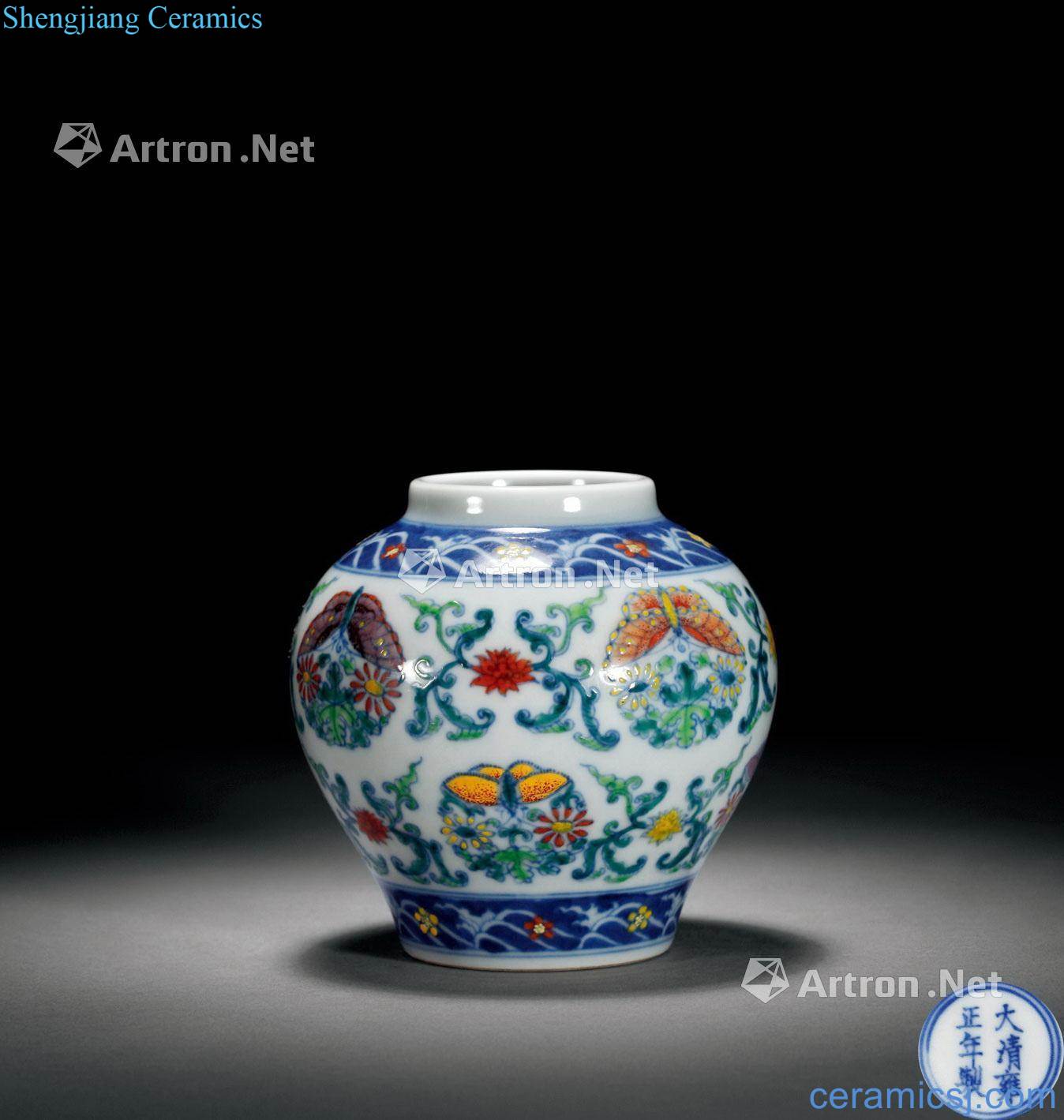 Qing dou CaiTuan flower pot