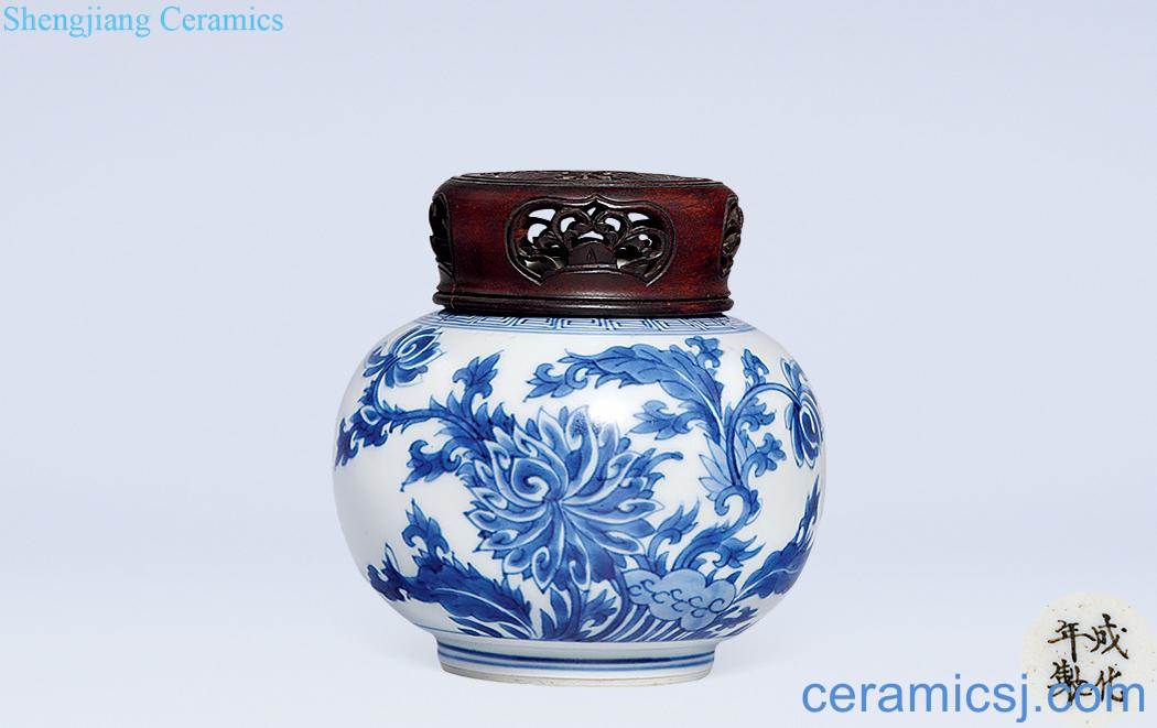 Qing dynasty Blue and white tie up flowers leaf veins canister