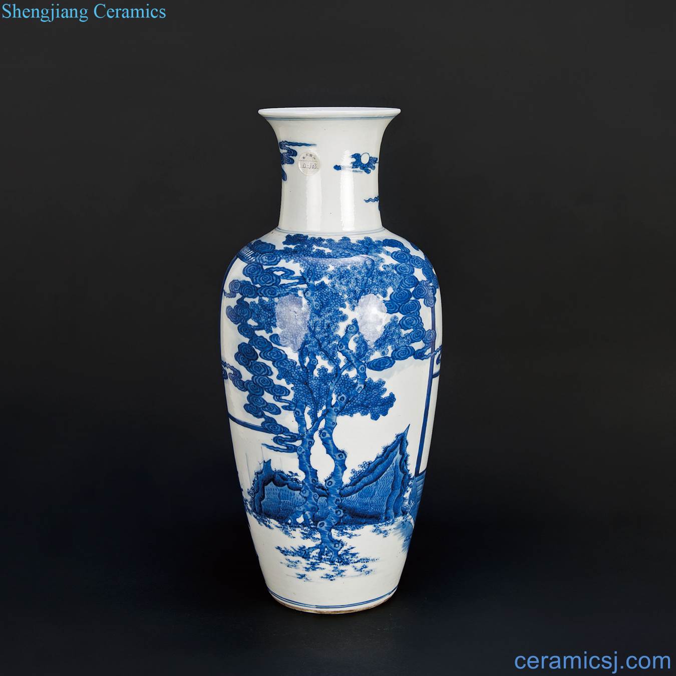 Qing guangxu Stories of blue and white lines bottle (a)