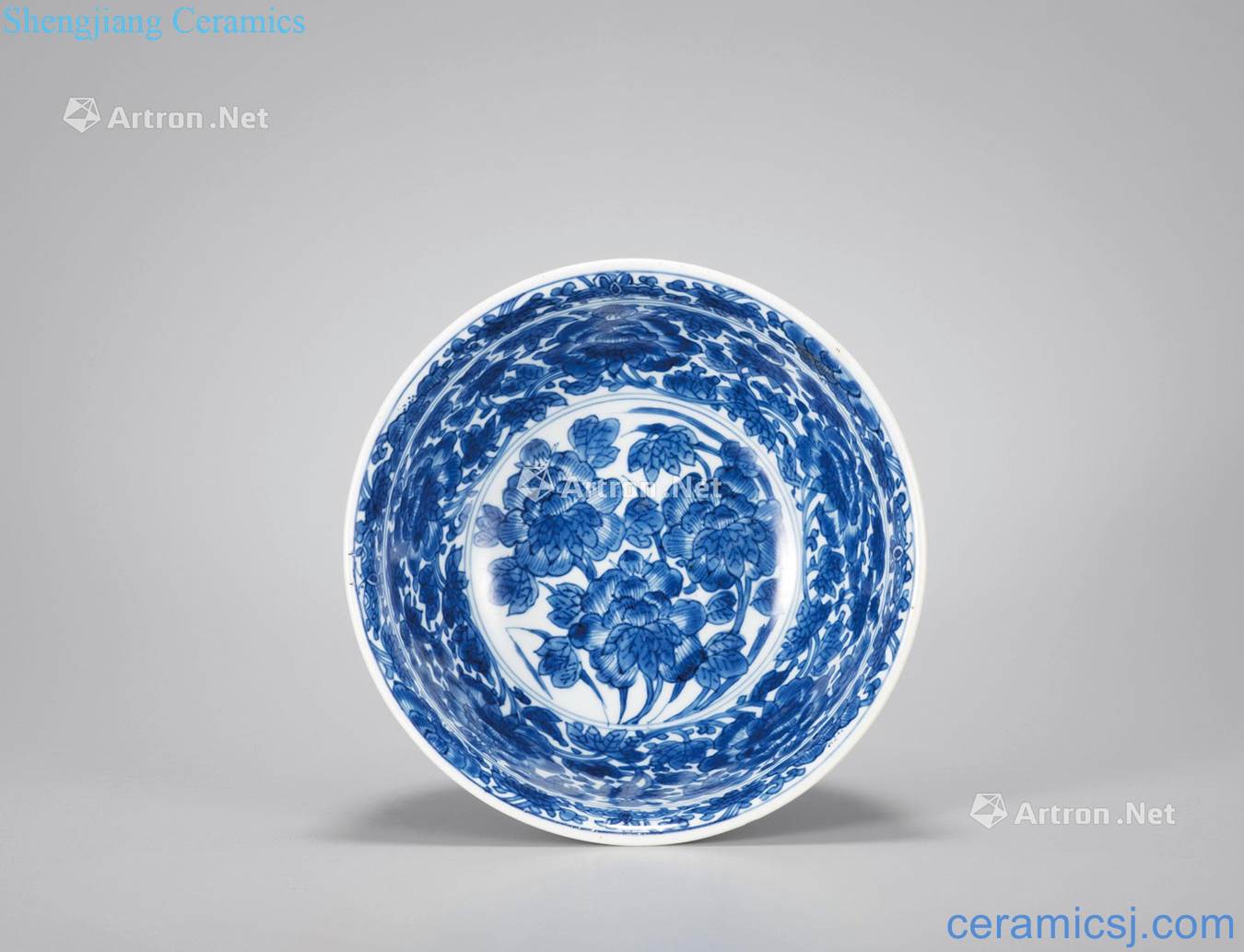 The qing emperor kangxi Blue and white branch flowers green-splashed bowls