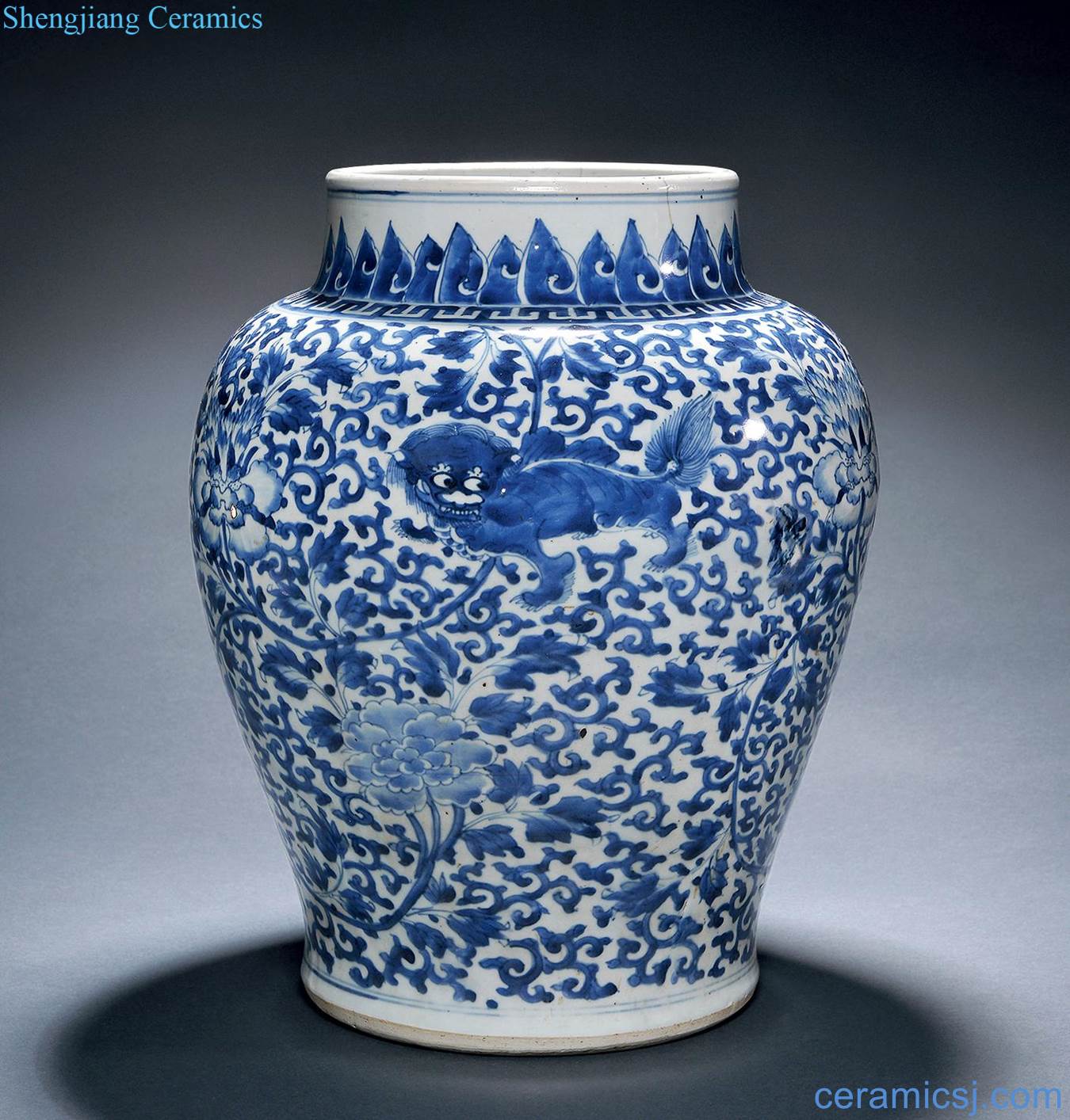 The qing emperor kangxi Blue and white lion wear peony grains big pot