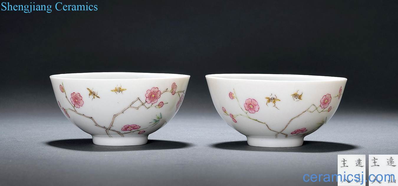 Qing daoguang Pastel shochiku mei bowl (a)