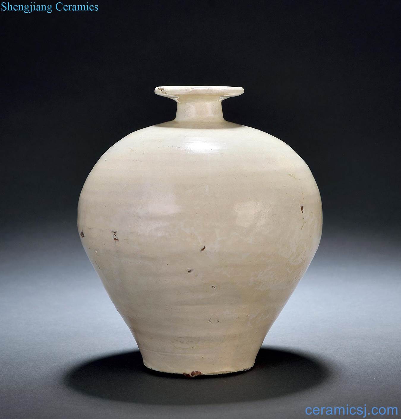 yuan Xing kiln white glazed dish buccal bottle