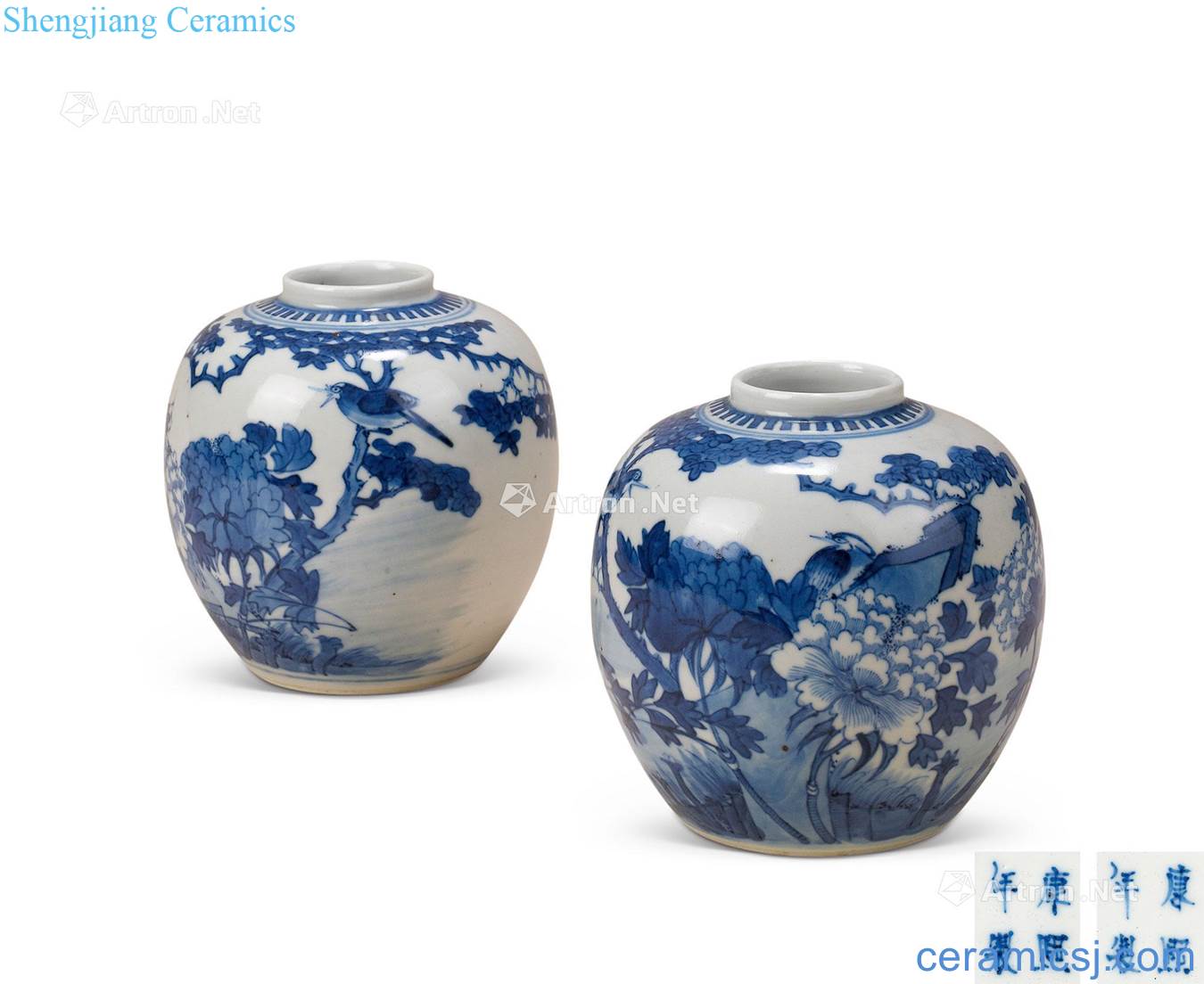 The late qing dynasty Blue and white flower on grain POTS (a)