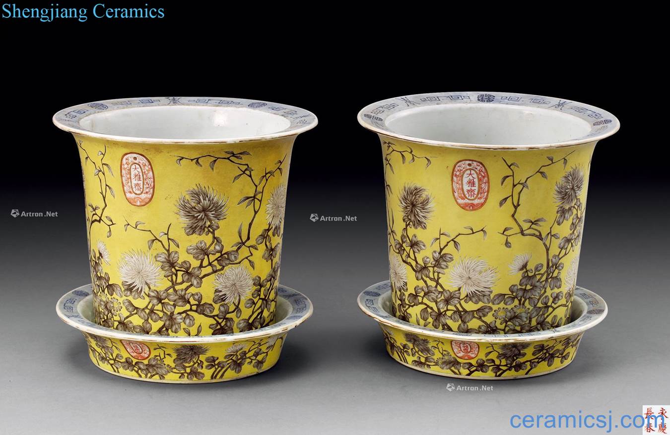 Qing guangxu Yellow color ink chrysanthemum flower pot (2)